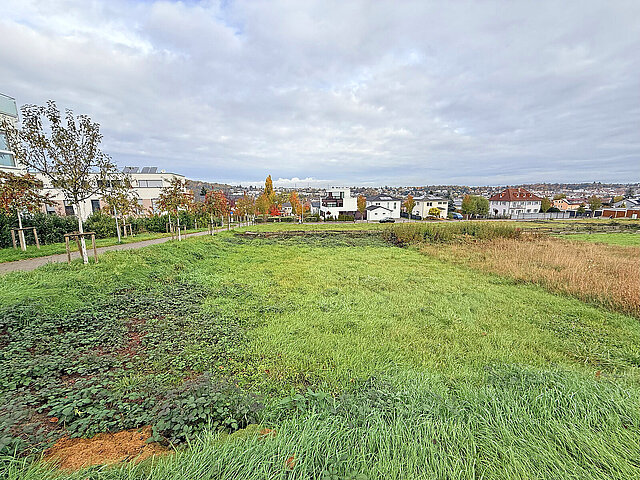  - copyright:Stadt Pforzheim