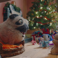 Kurz & Knapp - Der Tag der kurzen Filme