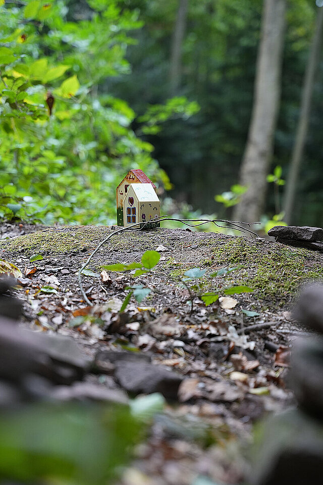 Auf dem Bild ist ein kleines Modellhäuschen im Wald zu sehen.