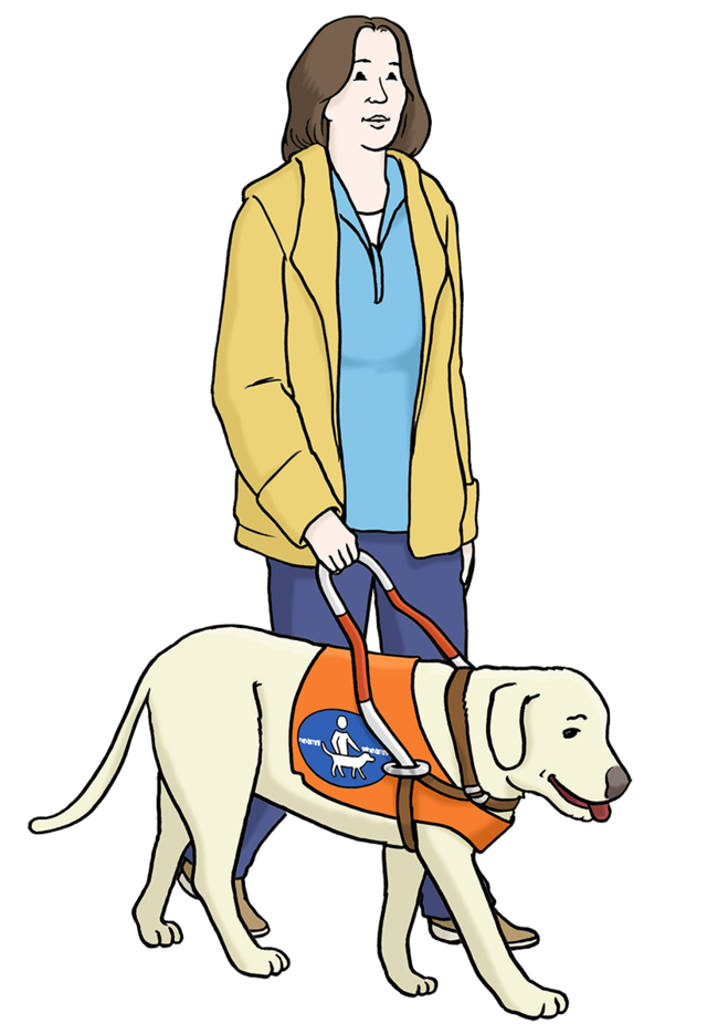 Illustration: Eine Frau mit Blindenhund. - copyright:Lebenshilfe für Menschen mit geistiger Behinderung Bremen e.V.