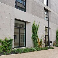 Auf dem Bild ist die Fassade des Neuen Technischen Rathauses in Pforzheim zu sehen, die mit mehreren Pflanzen begrünt ist.