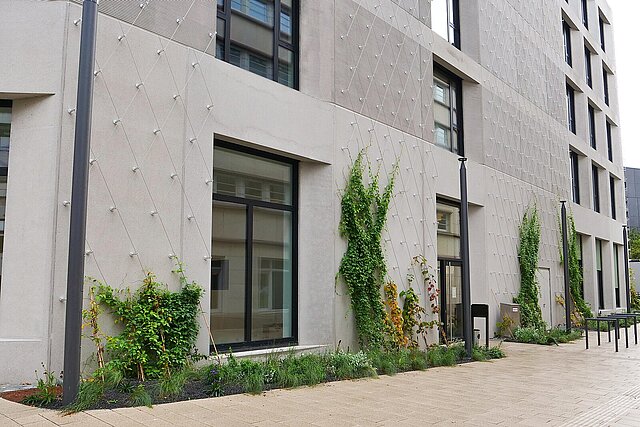 Auf dem Bild ist die Fassade des Neuen Technischen Rathauses in Pforzheim zu sehen, die mit mehreren Pflanzen begrünt ist.