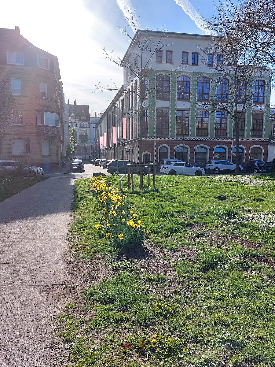 Frühlingsbild Bleichstraße 11