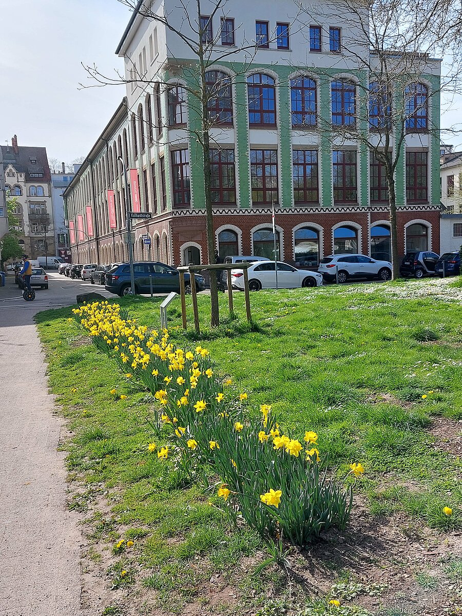 Frühlingsbild Bleichstraße 6
