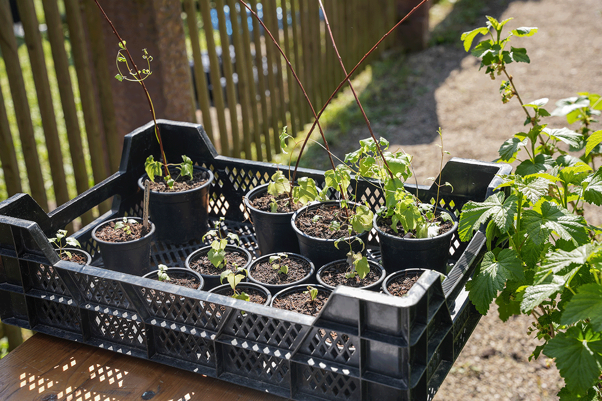 - copyright:Stadt Pforzheim