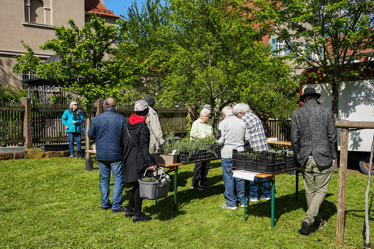 - copyright:Stadt Pforzheim