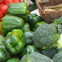 Wochenmarkt auf dem Marktplatz