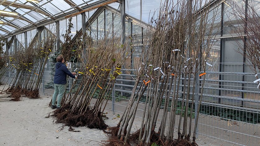  - copyright: Stadt Pforzheim - Ersteller: Stadt Pforzheim