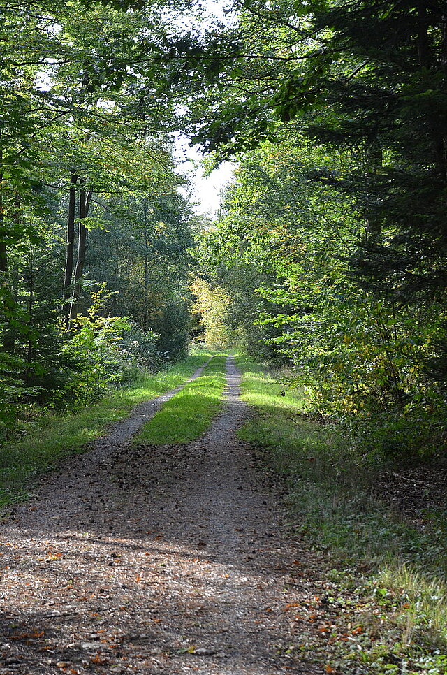  - copyright:Stadt Pforzheim