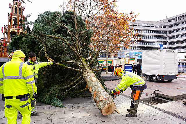 Weihnachtsbaum La Bresse