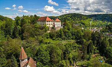 Ansicht: Schloss Neuenbürg 