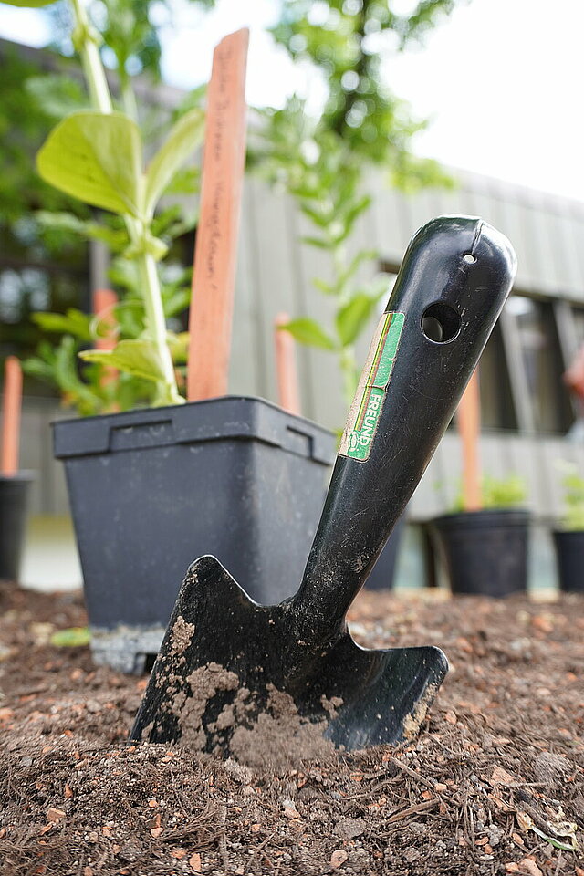 Blumenkasten-Pflanzaktion