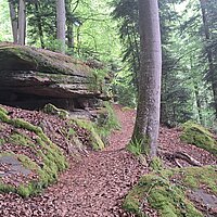 "Neuenbürg im Auf und Ab"