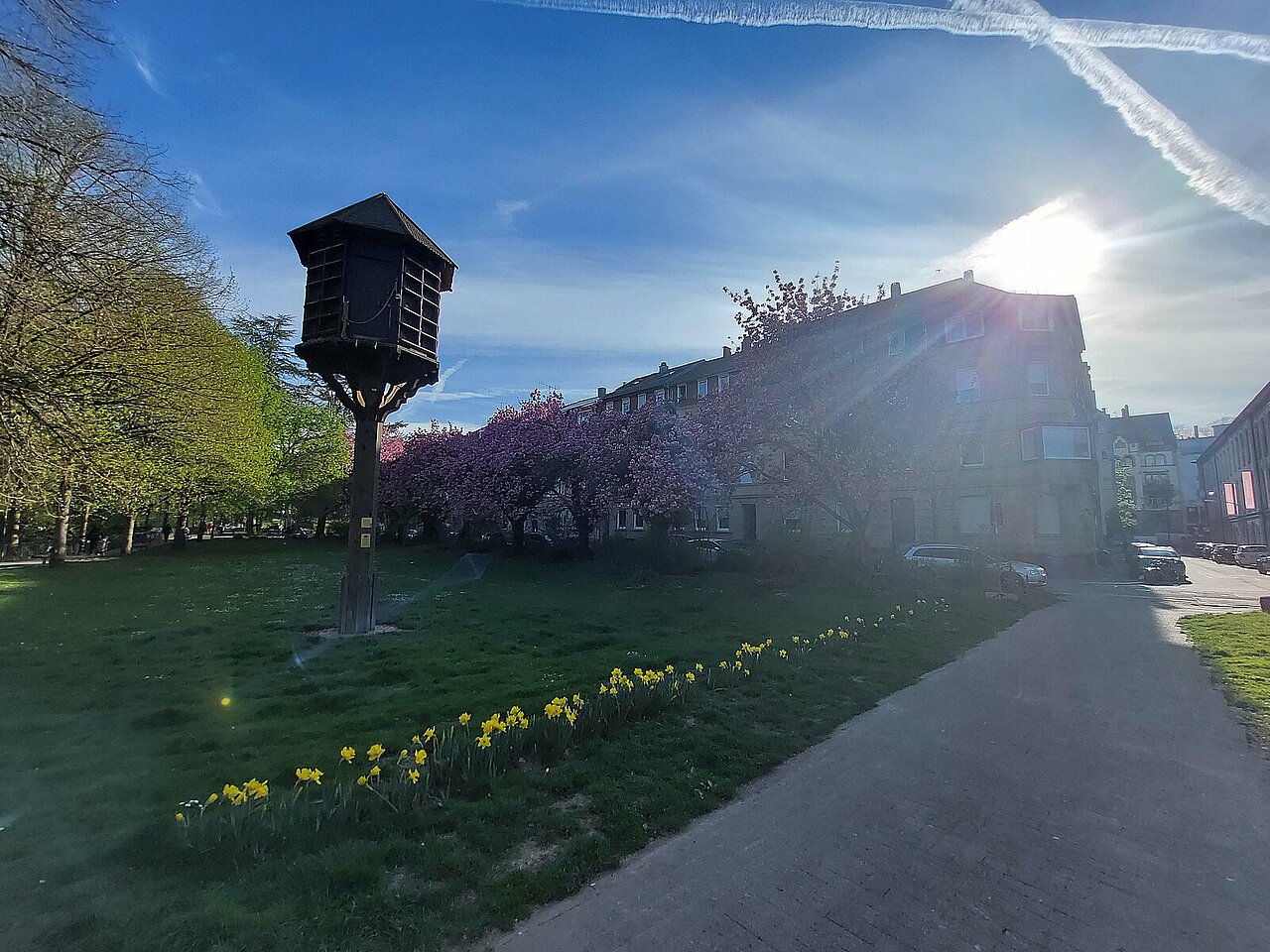 Frühlingsbild Bleichstraße 13