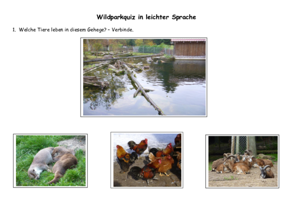 Wildpark Bilderquiz