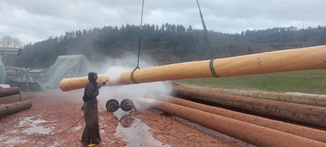 Bearbeitung der Stämme - copyright:Stadt Pforzheim, Amt für Umweltschutz