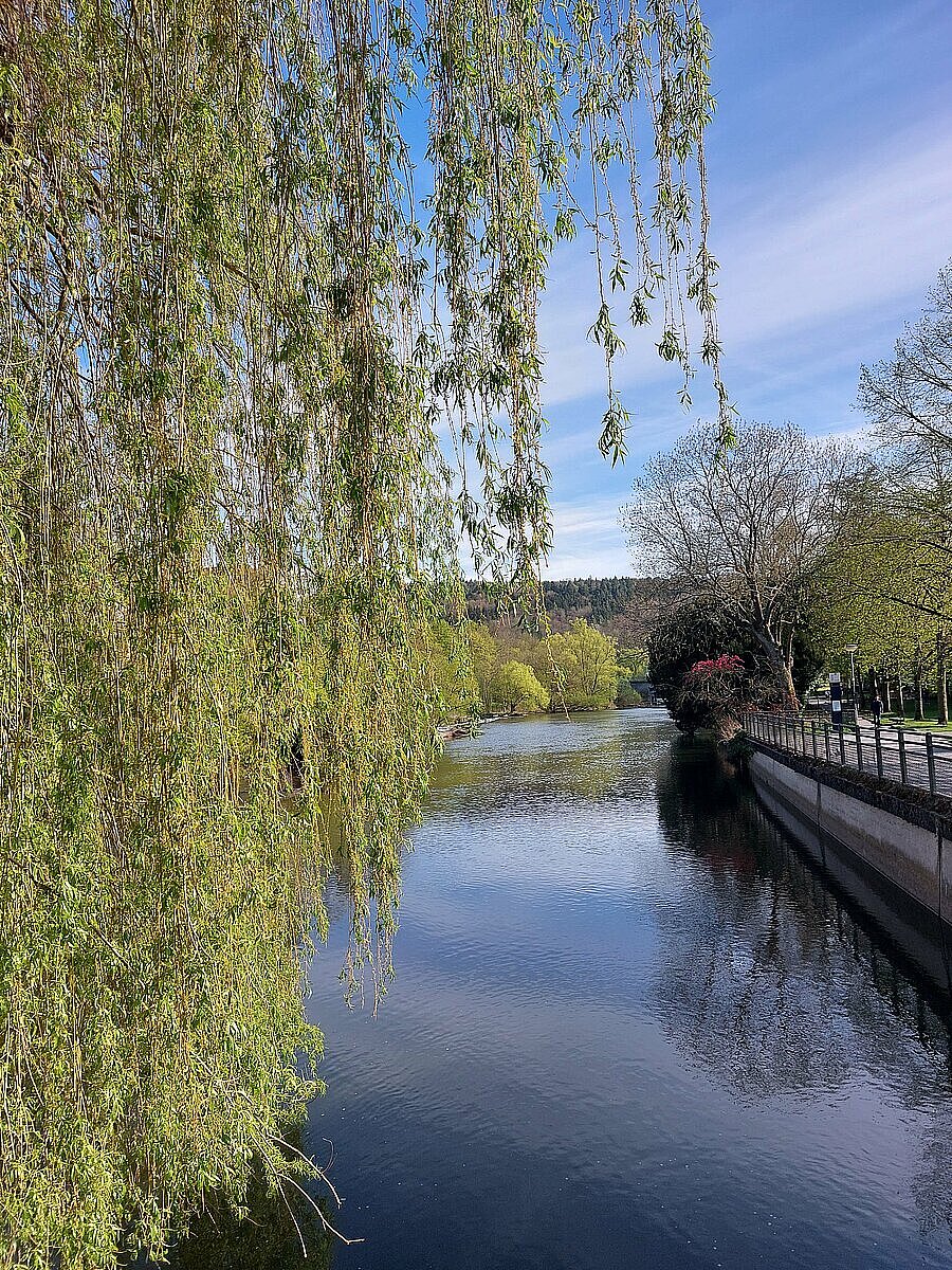 Frühlingsbild Bleichstraße 8
