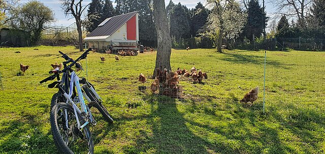 Landleben mit dem Rad entdecken - Foto: Pforzheim und Enzkreis