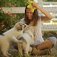 Unsere große kleine Farm (OmU) | Koki vor Ort