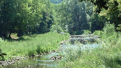 Fluss Nagold in Richtung Bleichwehr