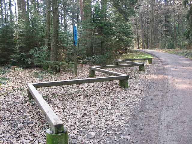 Bild: Sportgerät Waldsportpfad Büchenbronn (Foto: Keitel, AfU)
