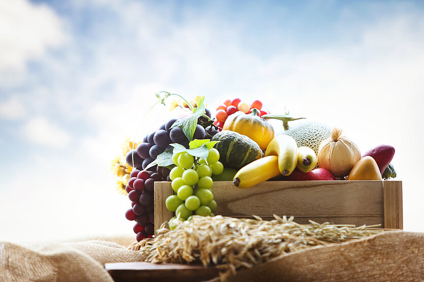 Symbolbild Erntedank: Ein Korb mit Obst und Gemüse - copyright: istock - Ersteller: artplus