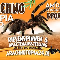 Arachnotopia Expo