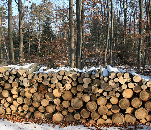 Aufgearbeiteter Brennholz-Stapel (Foto: Hilligardt, AfU)