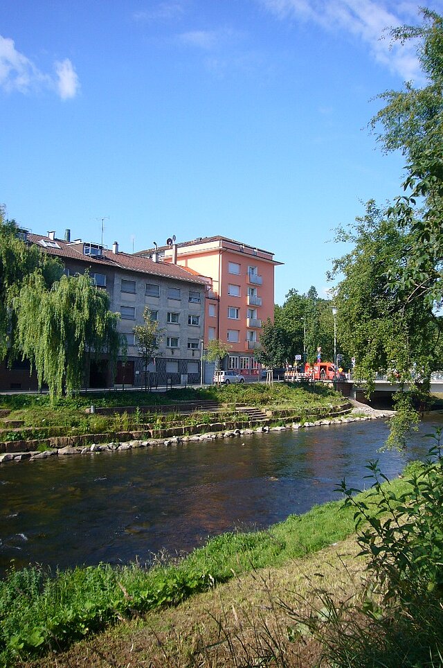 Enzufer nach der Renaturierung