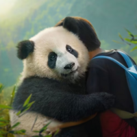 Moon, der Panda | Kinderkino