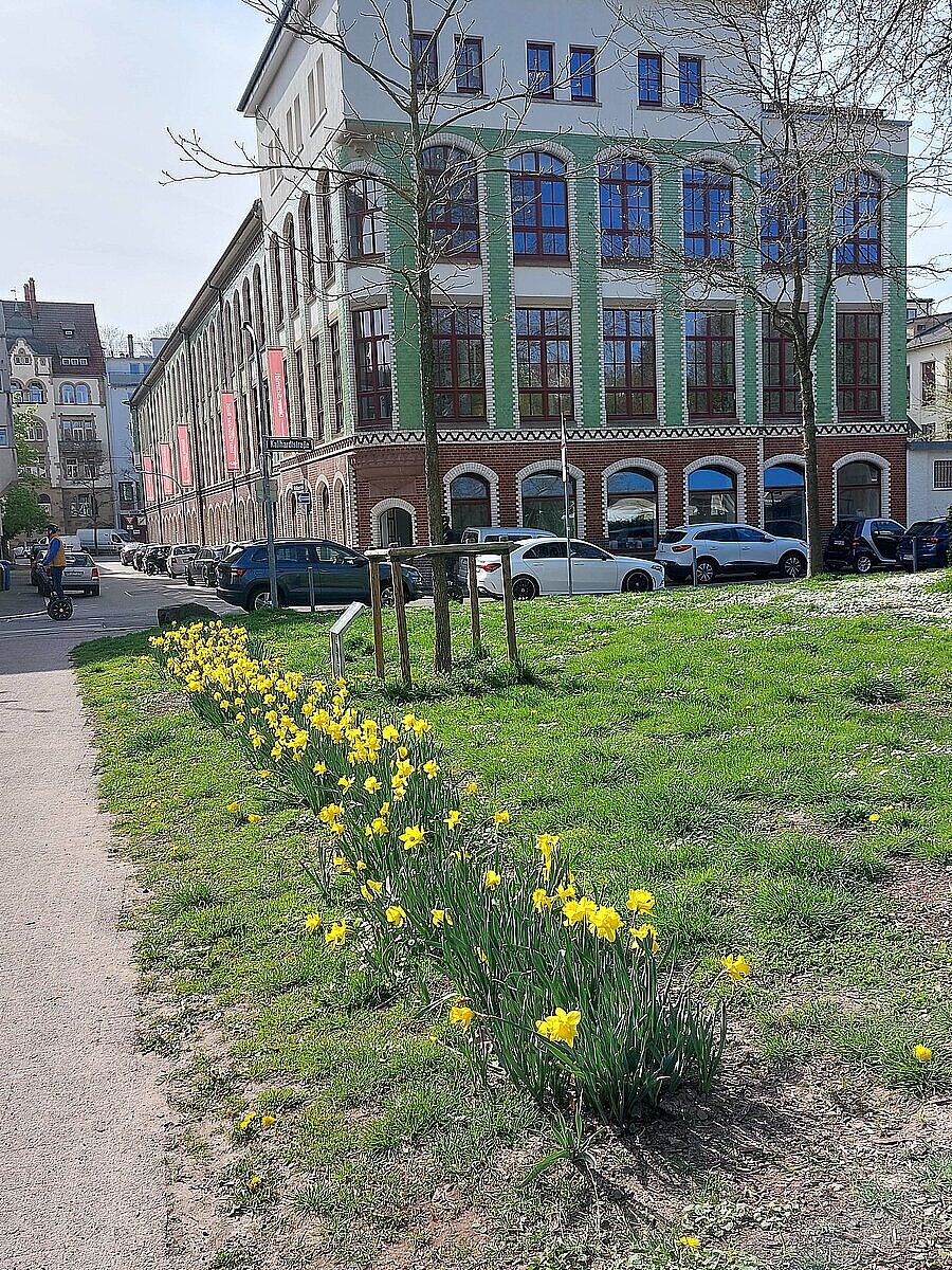 Frühlingsbild Bleichstraße 6