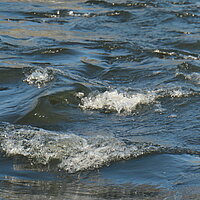 "Unser Wasser"- Tiere, Trinkwasser, Wasserschutz an der Enz