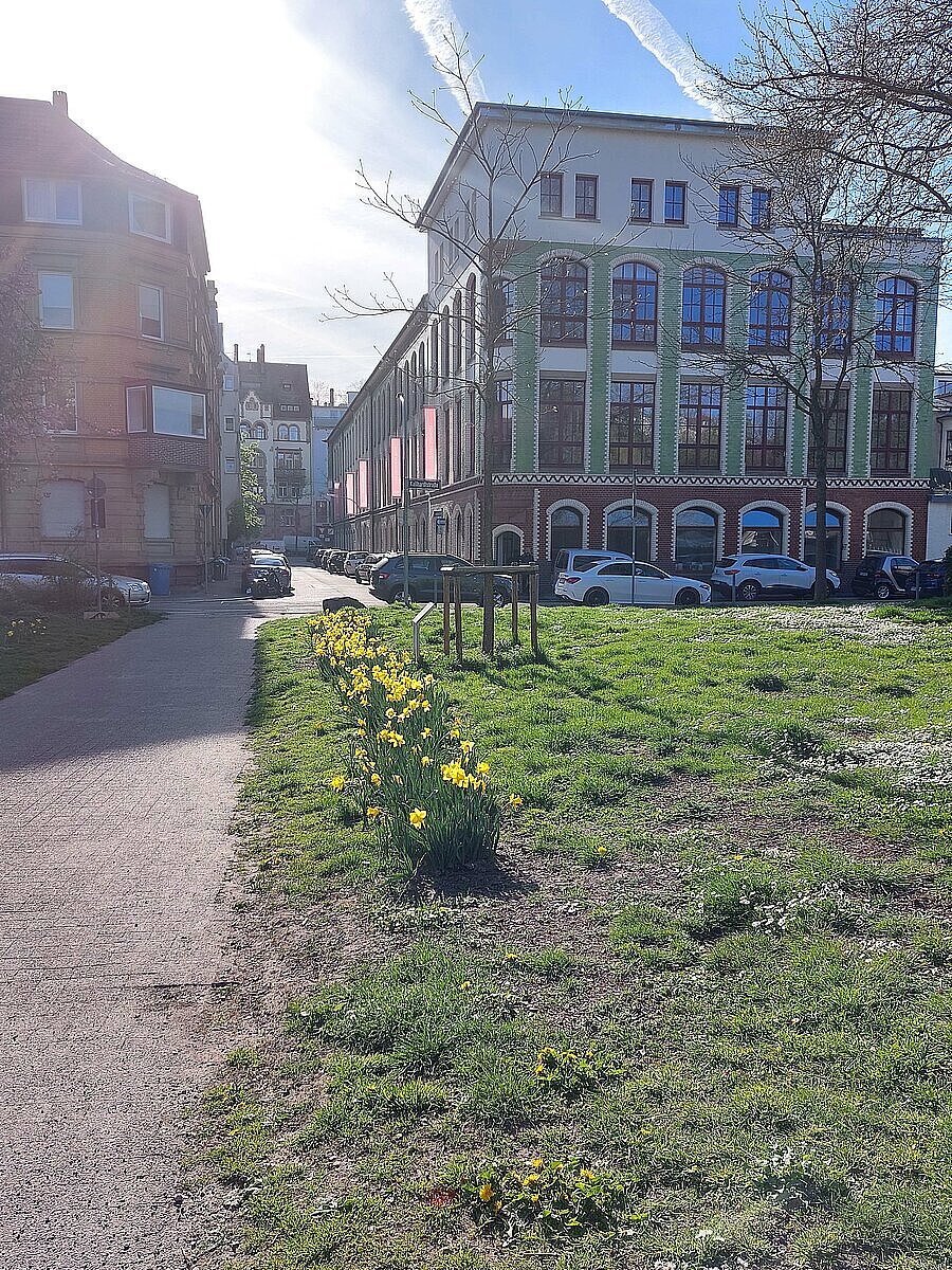 Frühlingsbild Bleichstraße 11