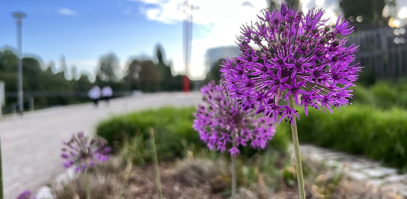  - copyright:Stadt Pforzheim