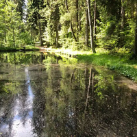 Durch das wilde Zugbachtal zum Paradies