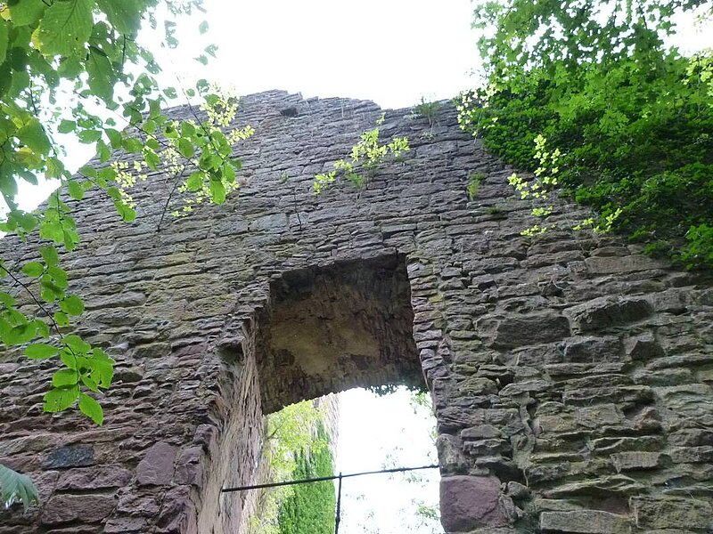 Burgruine Liebeneck Burgruine Liebeneck