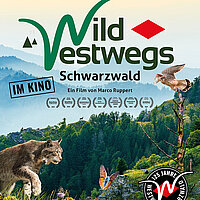 Pforzheims Grünes Gold: Wildwestwegs