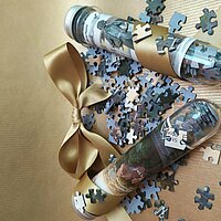 Pforzheimer Puzzle im Reagenzglas