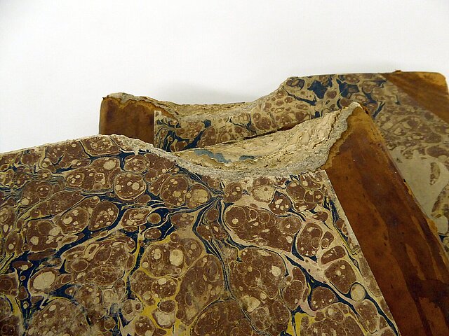 Mäusefraß an alten Dokumenten