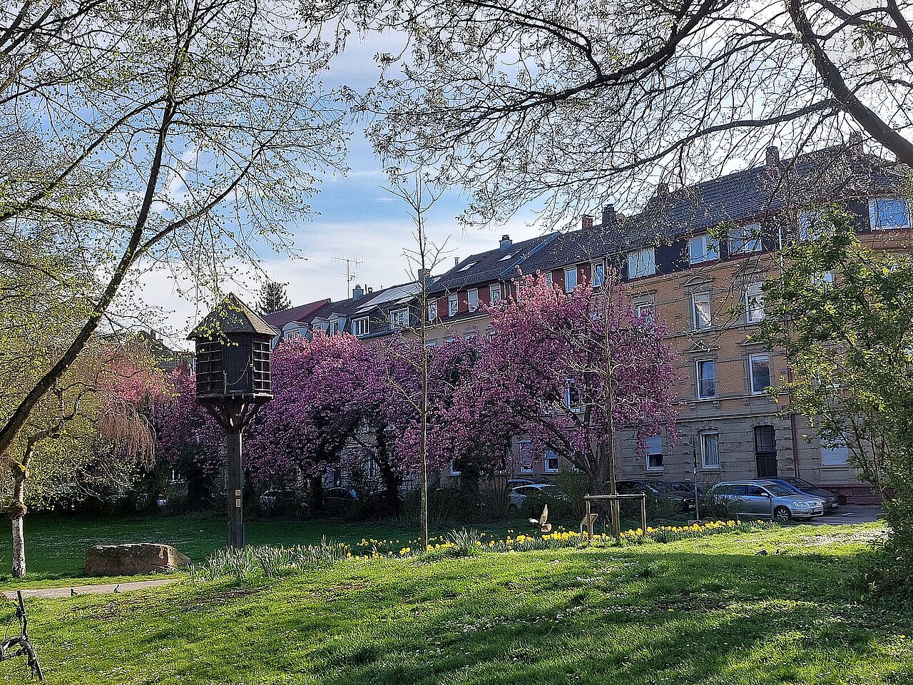 Frühlingsbild Bleichstraße 9