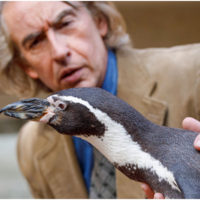 Der Pinguin meines Lebens