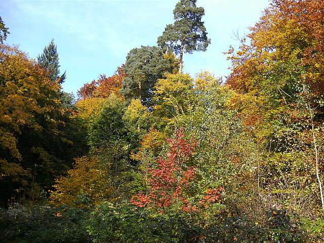  - copyright:Stadt Pforzheim
