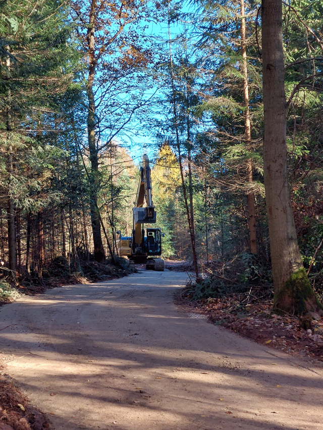 Bagger auf dem Weg zum Waldklassenzimmer - copyright:Stadt Pforzheim, Amt für Umweltschutz
