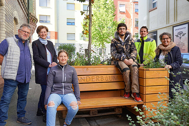 Vorstellung Wanderbäume