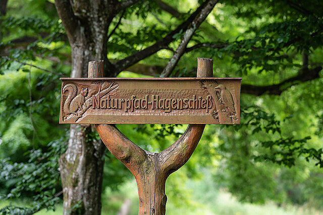 Naturpfad Hagenschieß - Foto: Pierre Johne