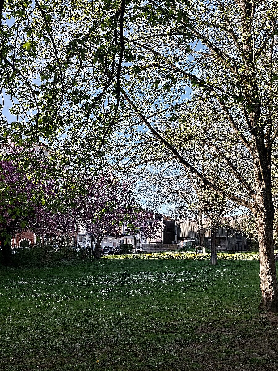 Frühlingsbild Bleichstraße 14