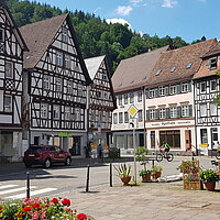 "Neuenbürg im Auf und Ab"