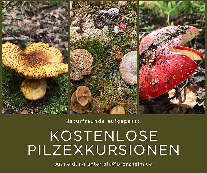  - copyright: Stadt Pforzheim - Ersteller: Stadt Pforzheim