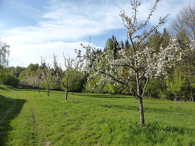 Nagoldhaldenweg Rundweg - Foto: Bruno Kohl Nagoldhaldenweg Rundweg - Foto: Bruno Kohl