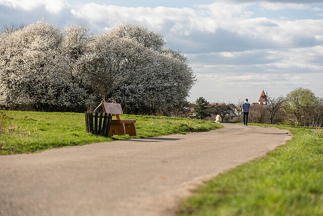 Büchenbronn Plateau mit schönen Streuobstwiesen - Foto: Pierre Johne Büchenbronn Plateau mit schönen Streuobstwiesen - Foto: Pierre Johne